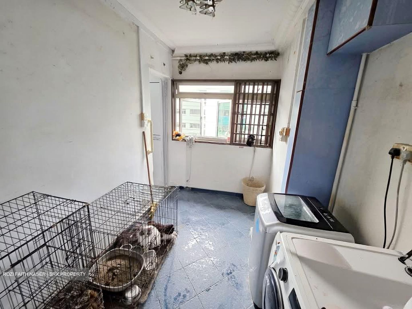 Blk 835 Woodlands Street 83 (Woodlands), HDB Executive #545736961